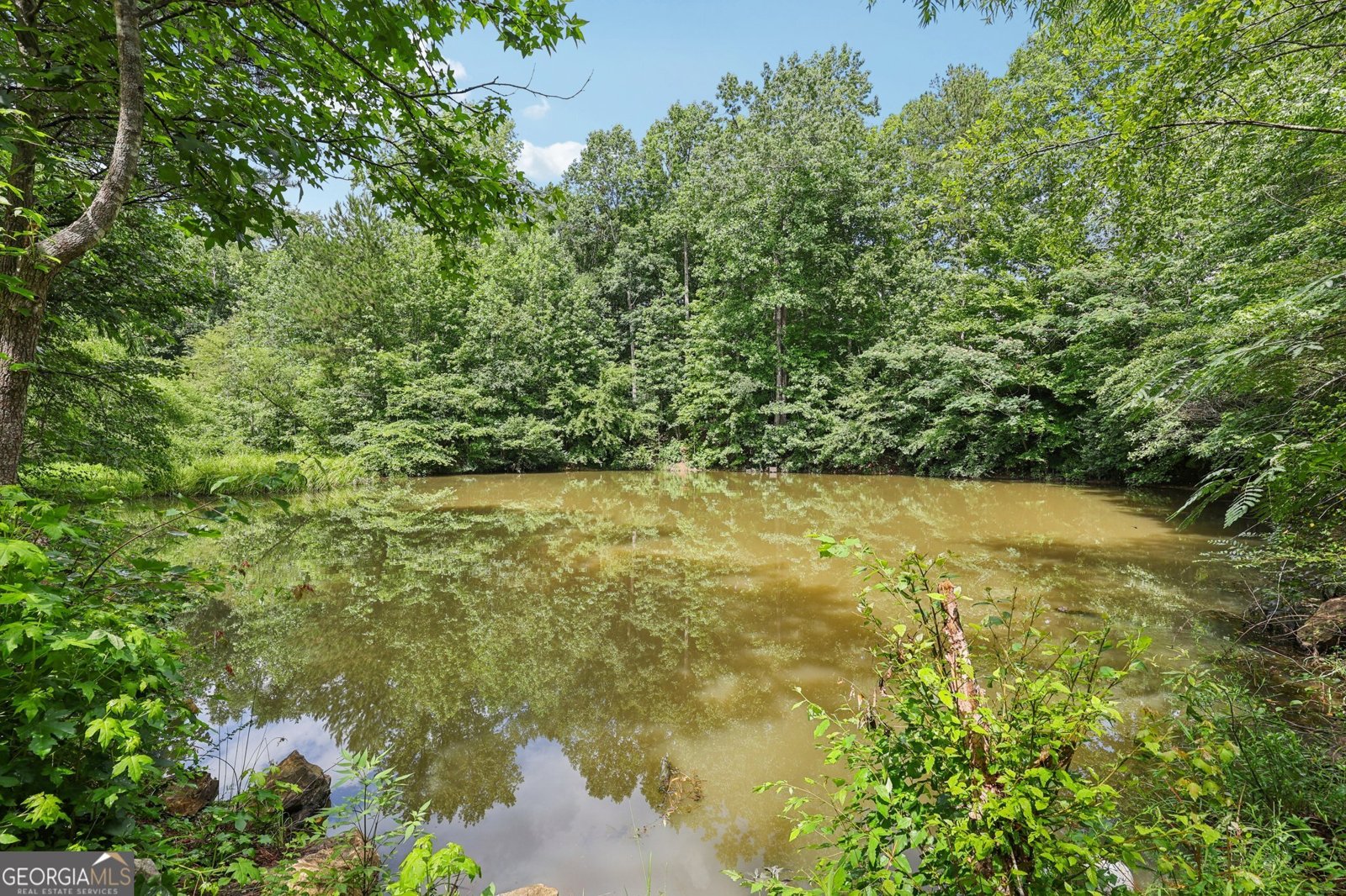 4685 Braselton Highway Hoschton - Photo 37