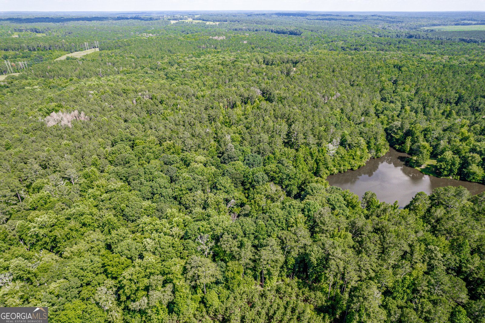 1041 River Farm Way Madison - Photo 62