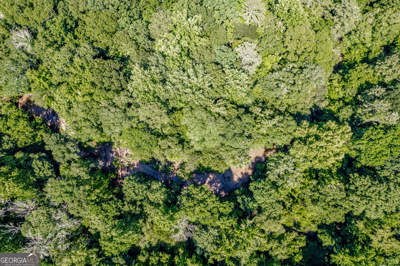 1041 River Farm Way Madison - Photo 64