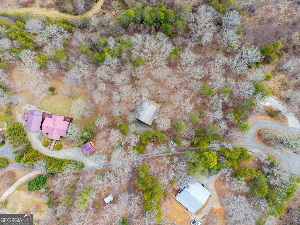 244 Lapidary Lane Young Harris - Photo 51