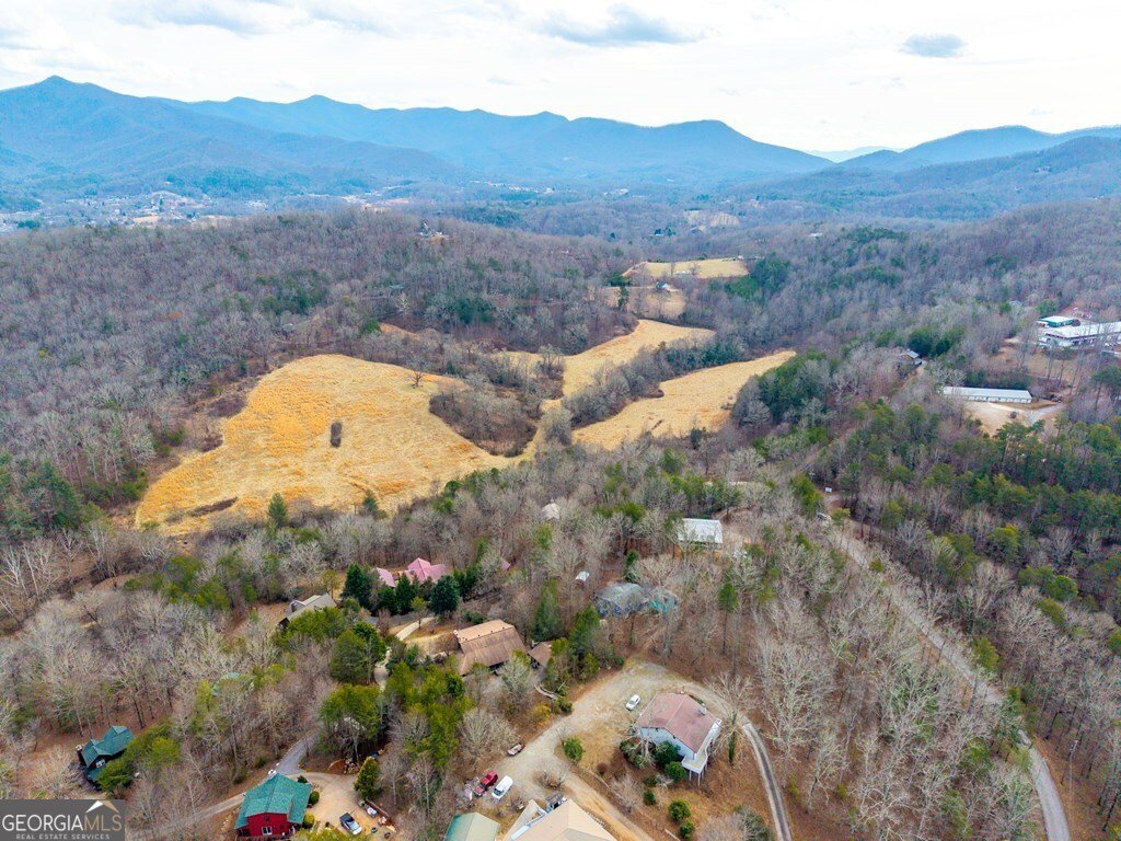 244 Lapidary Lane Young Harris - Photo 53