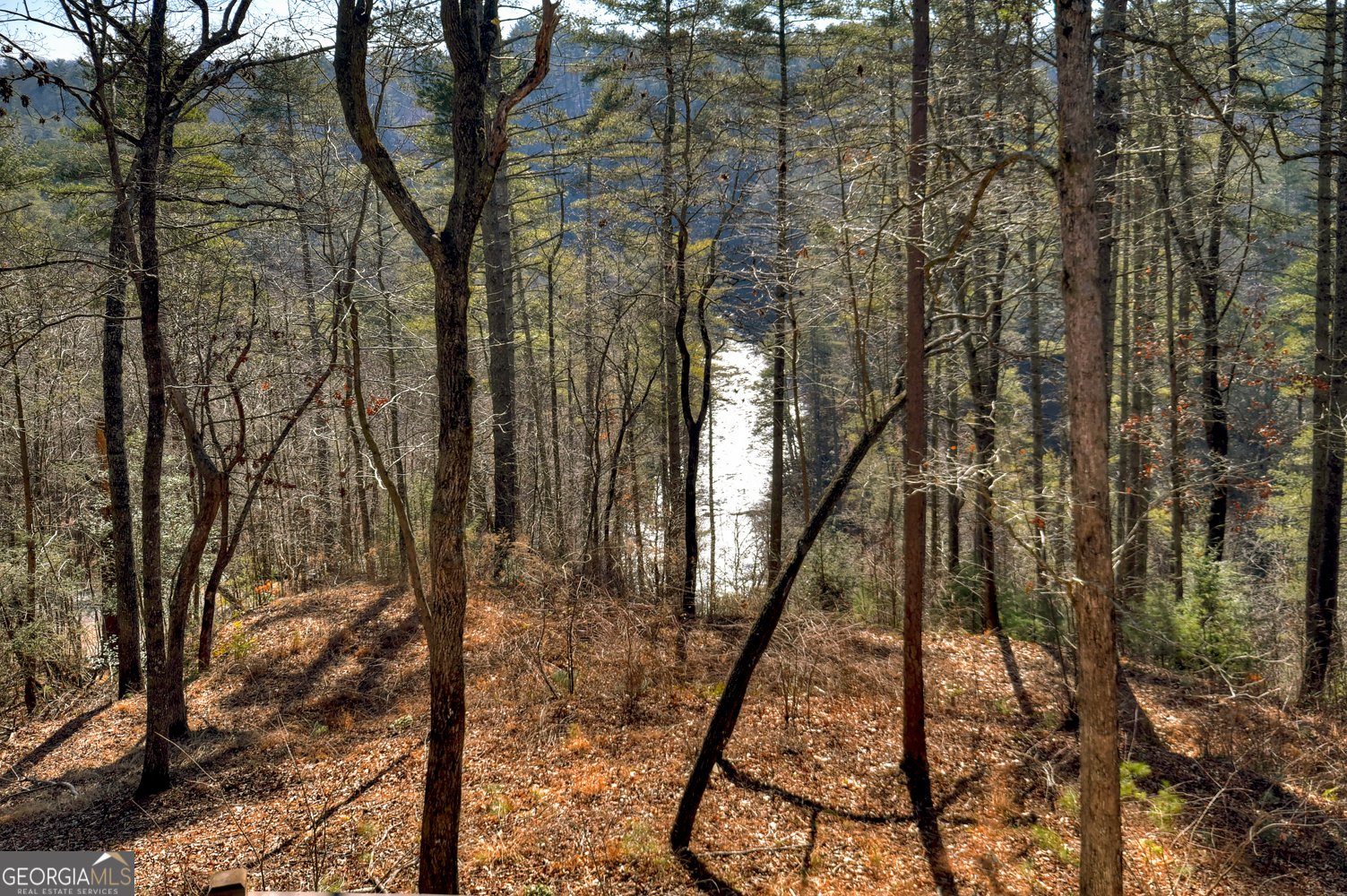 1312 Hicks Ford Road Ellijay - Photo 19