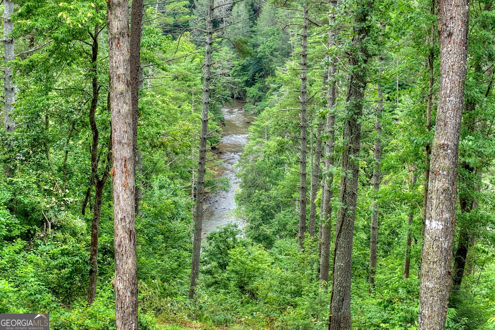 1312 Hicks Ford Road Ellijay - Photo 83