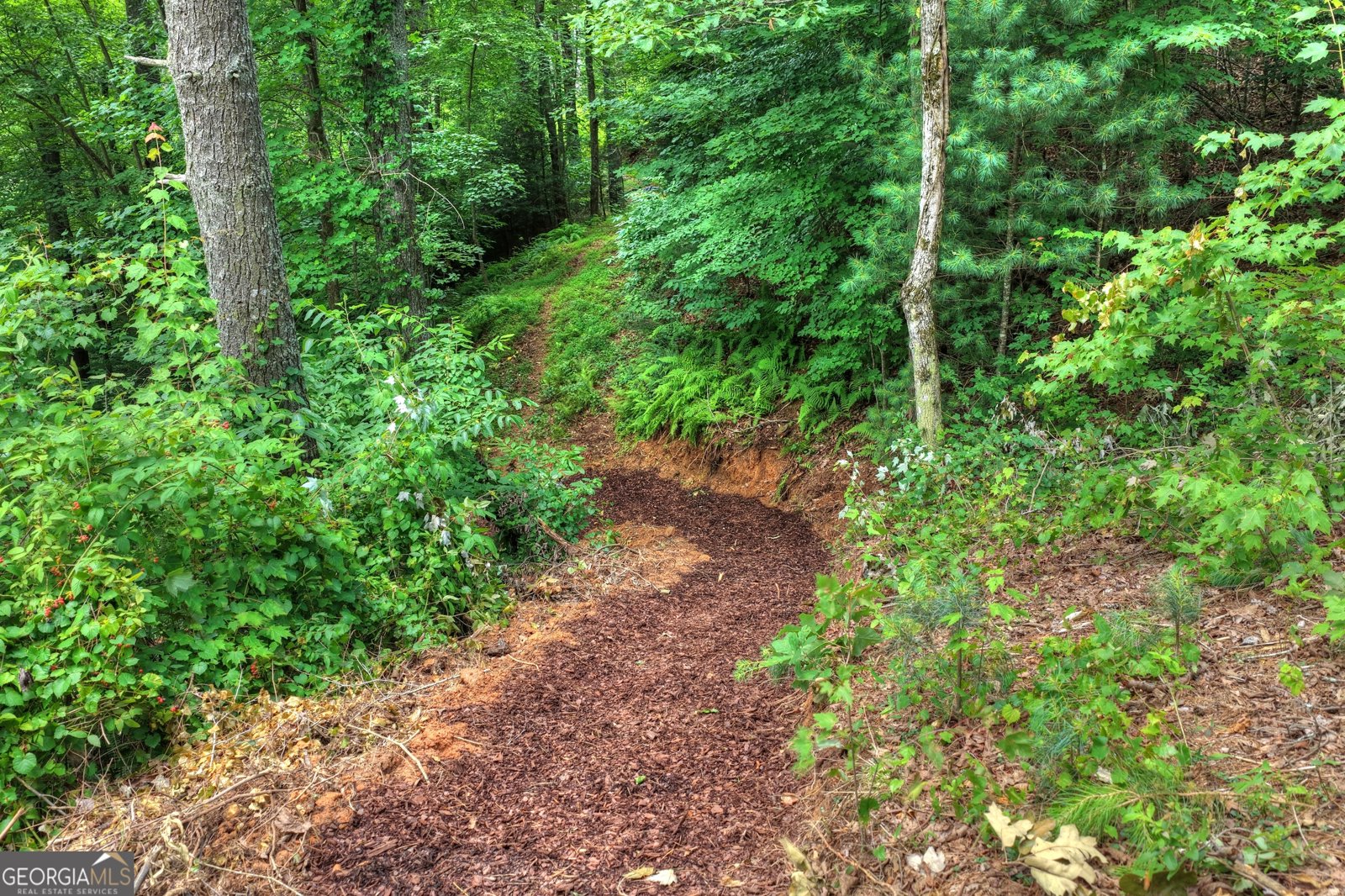 1312 Hicks Ford Road Ellijay - Photo 85