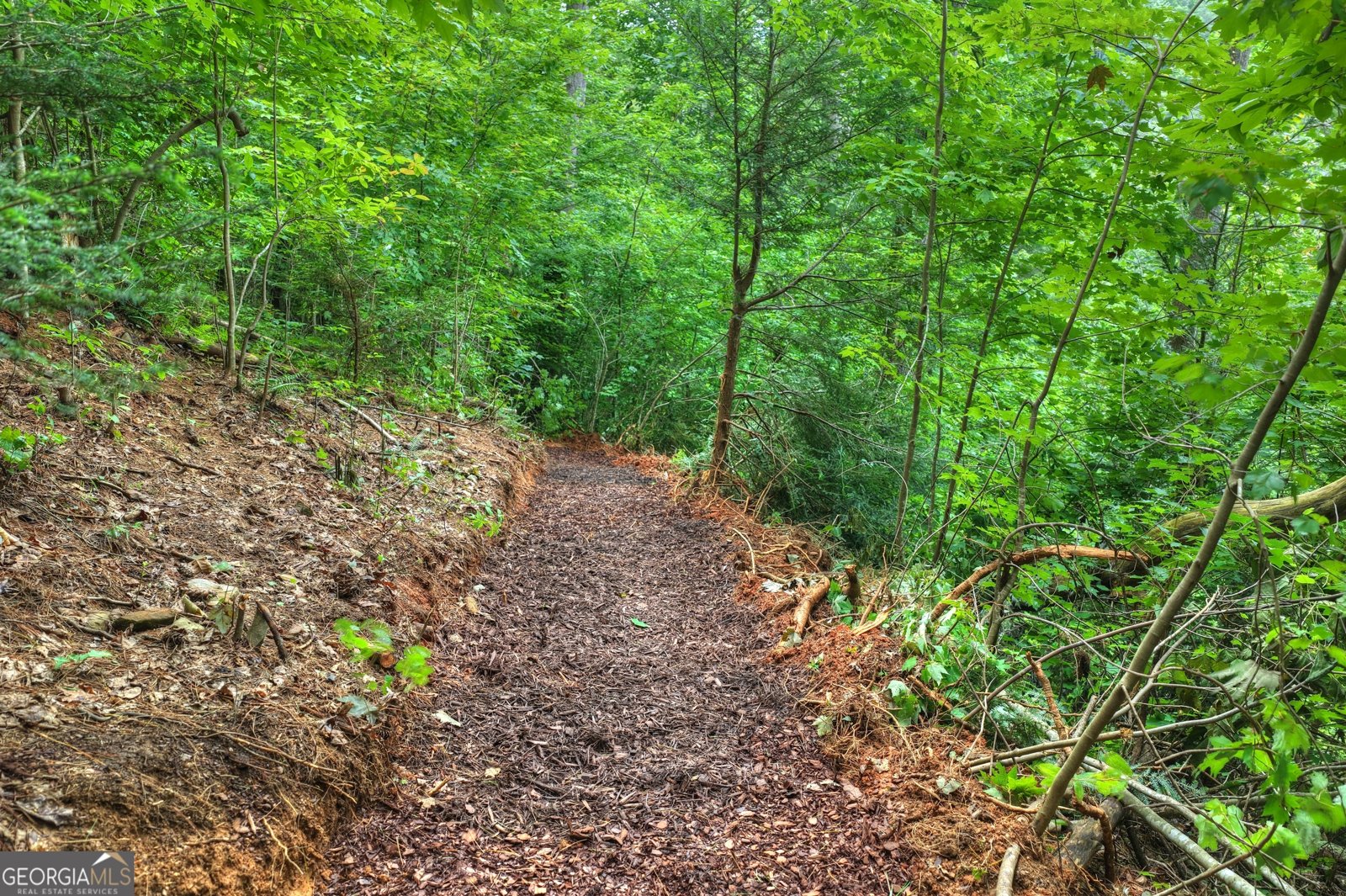 1312 Hicks Ford Road Ellijay - Photo 88