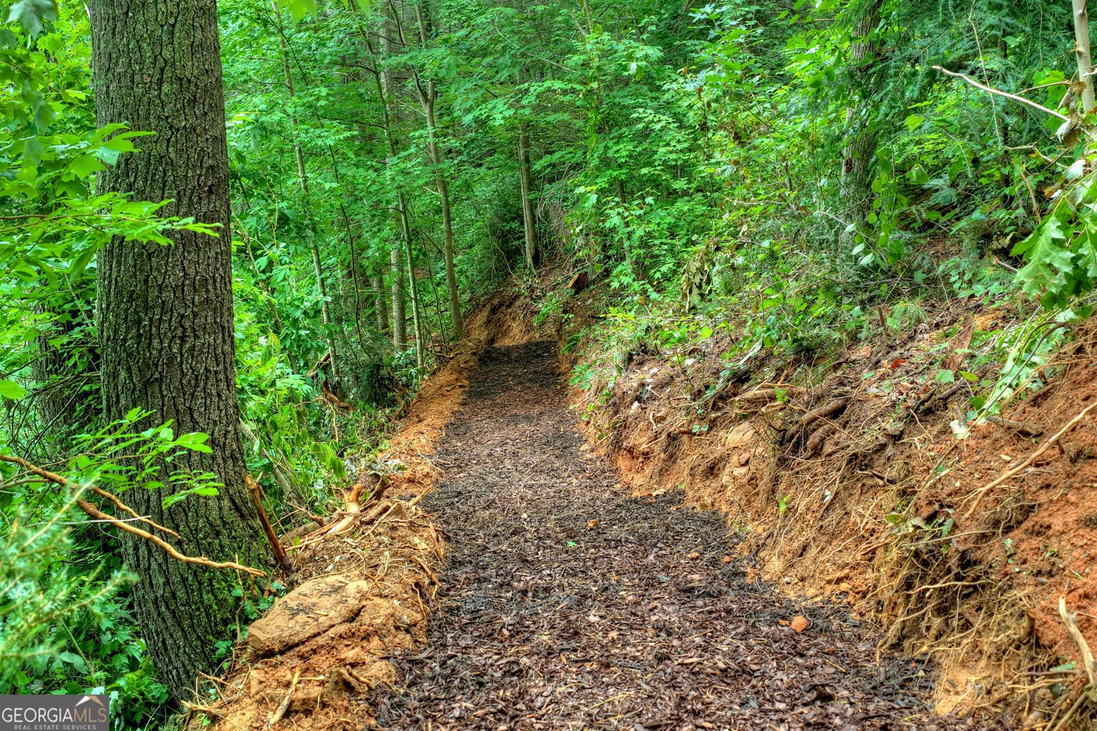 1312 Hicks Ford Road Ellijay - Photo 89