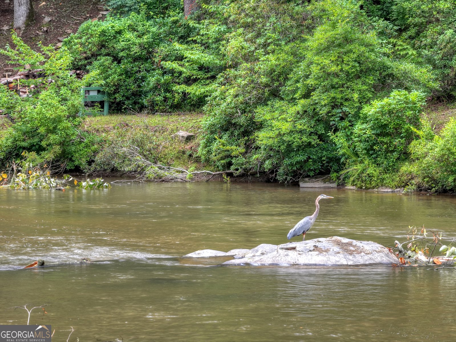 1312 Hicks Ford Road Ellijay - Photo 91