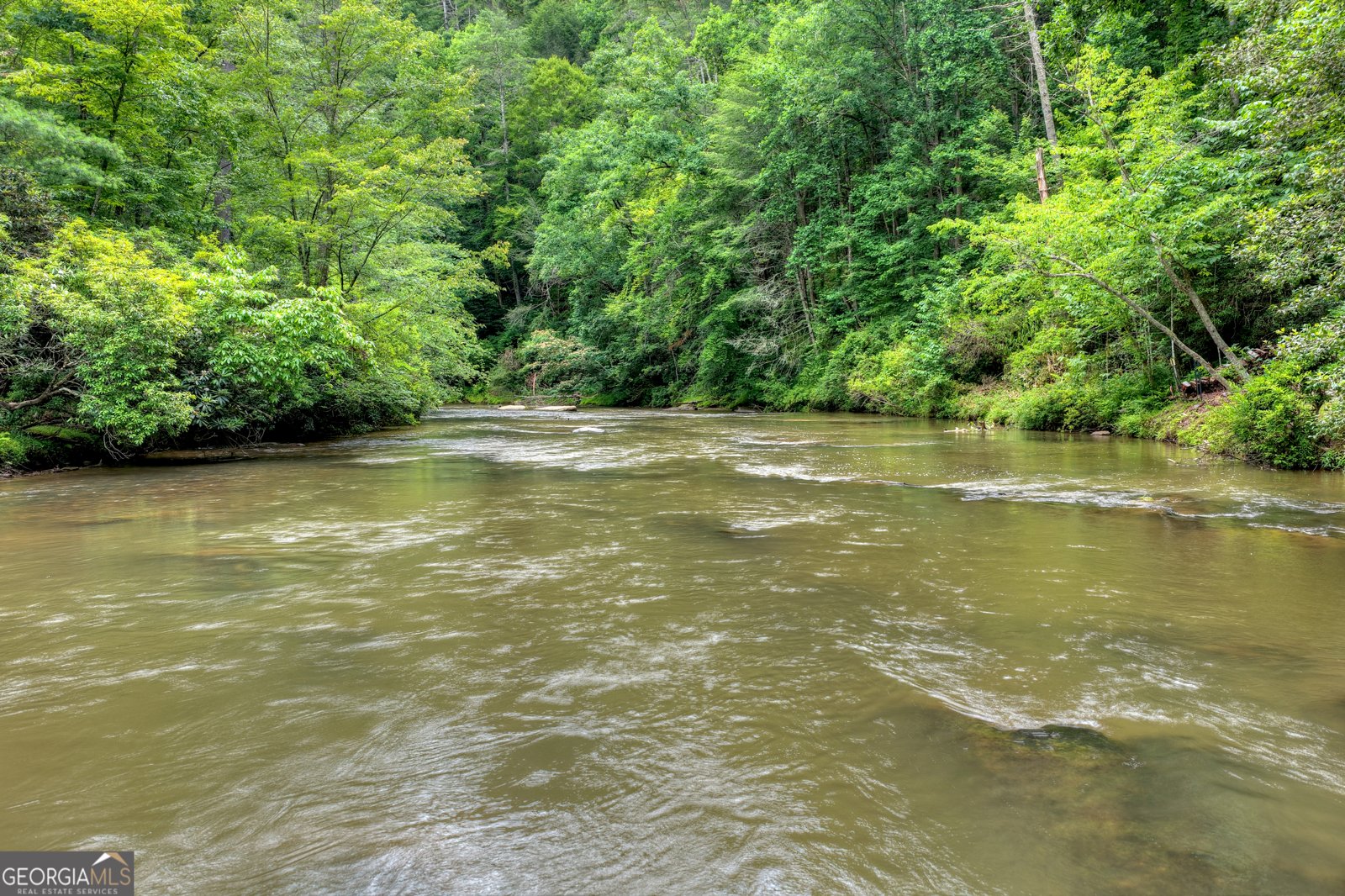 1312 Hicks Ford Road Ellijay - Photo 92