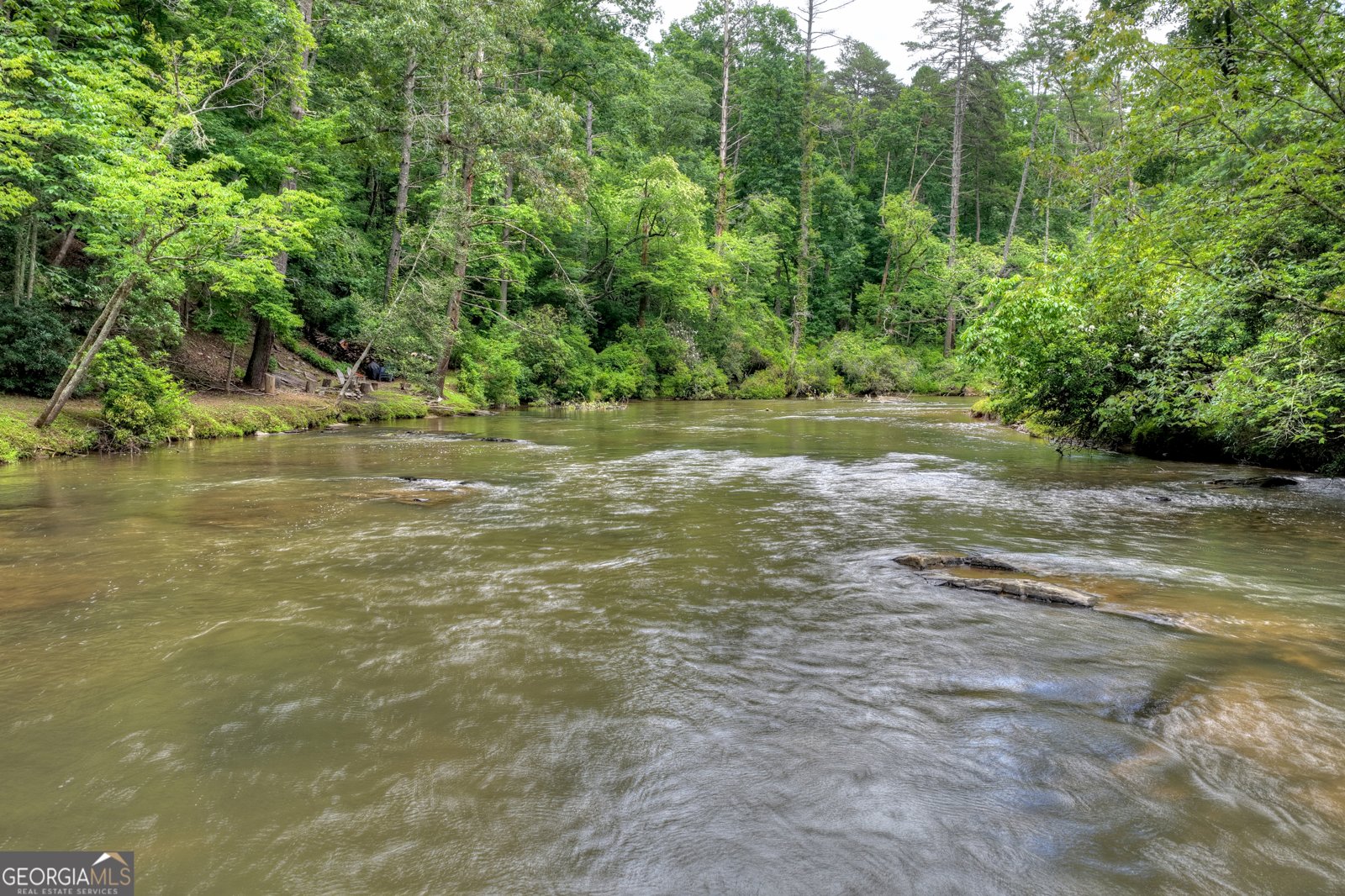 1312 Hicks Ford Road Ellijay - Photo 93