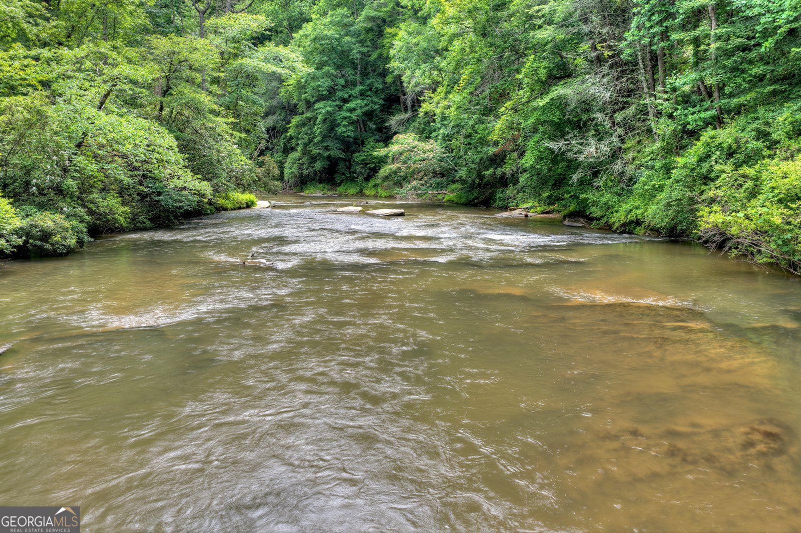 1312 Hicks Ford Road Ellijay - Photo 94