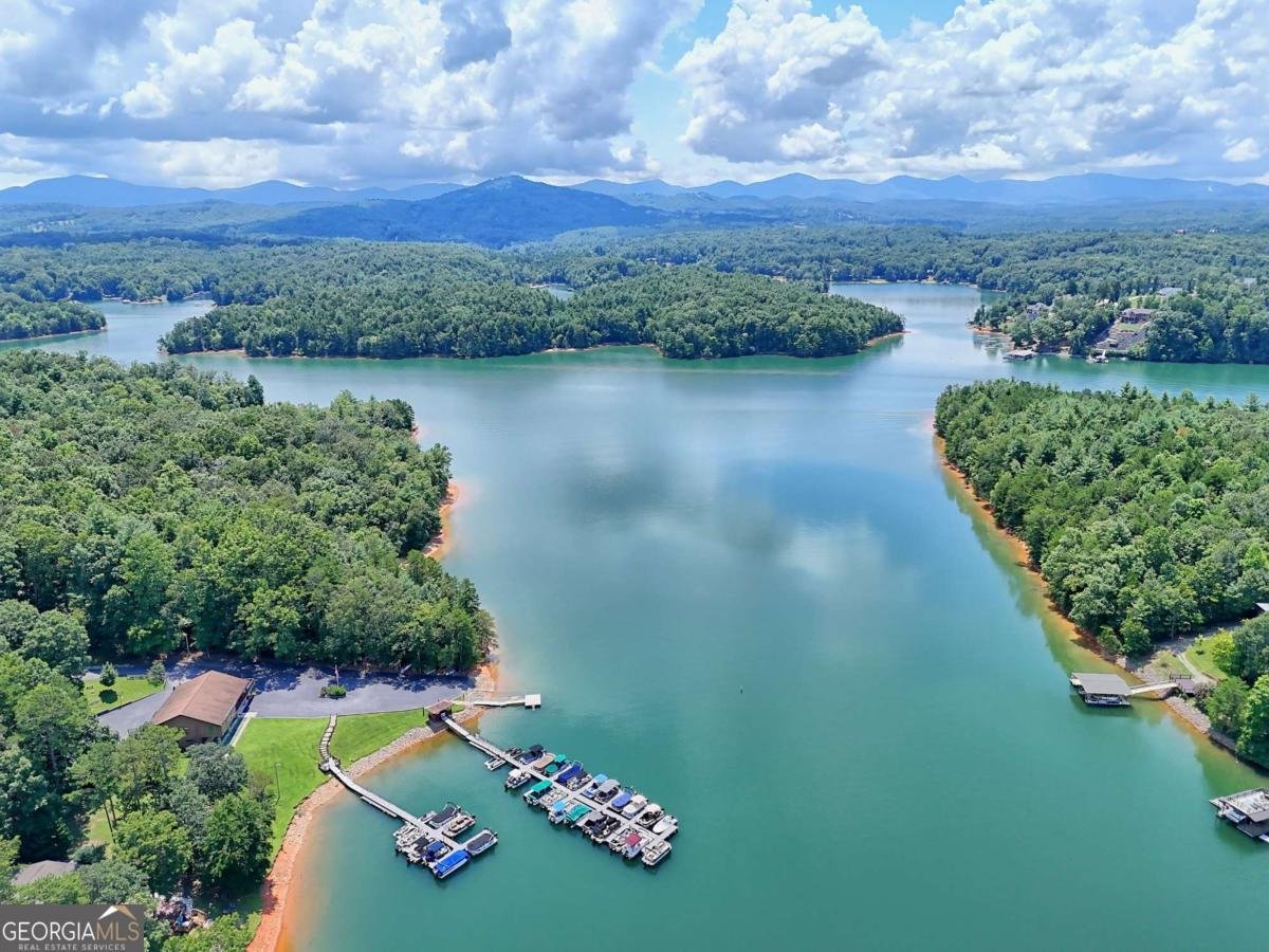 993 Lakeside Drive Blairsville - Photo 39