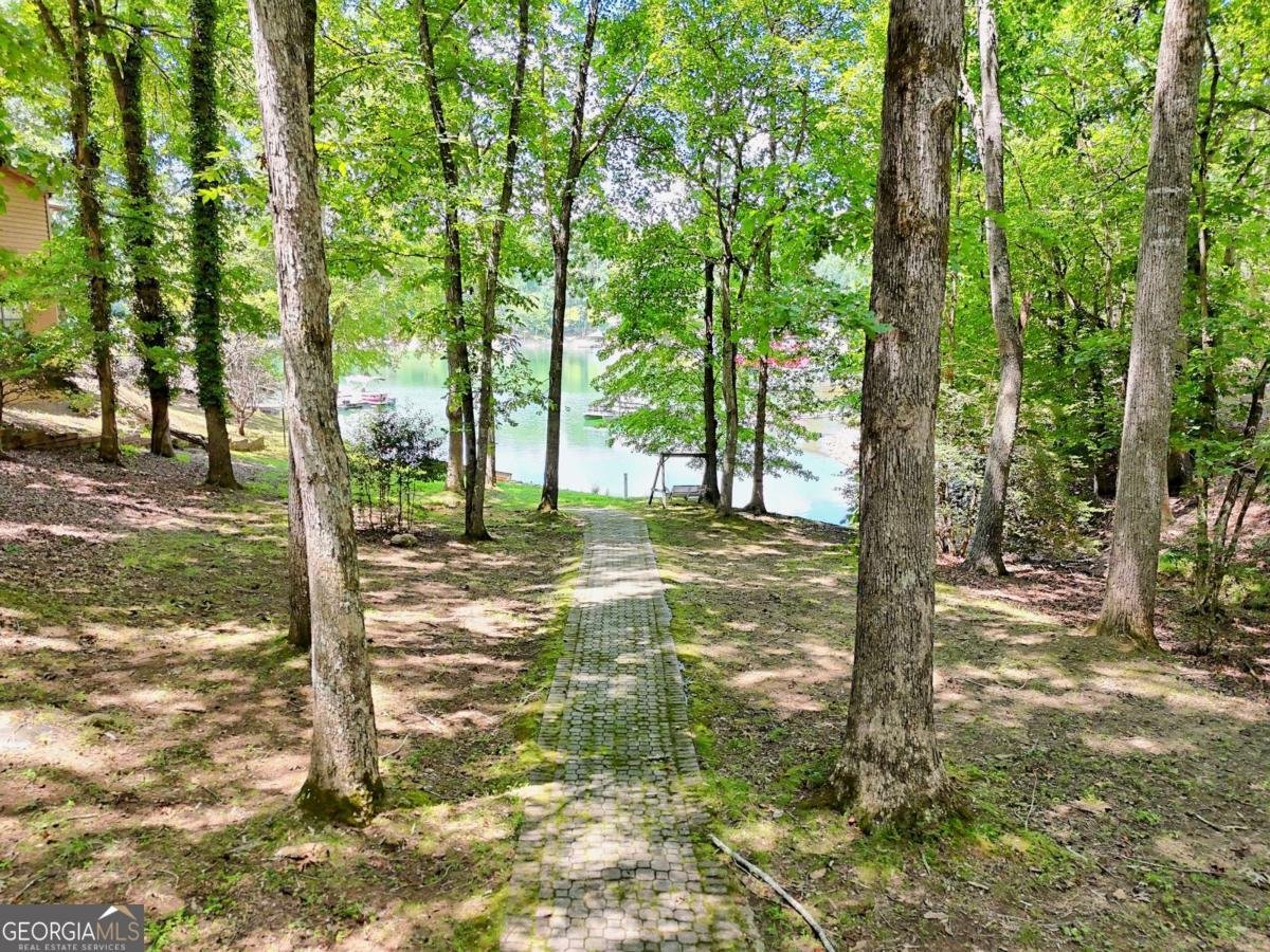 993 Lakeside Drive Blairsville - Photo 44