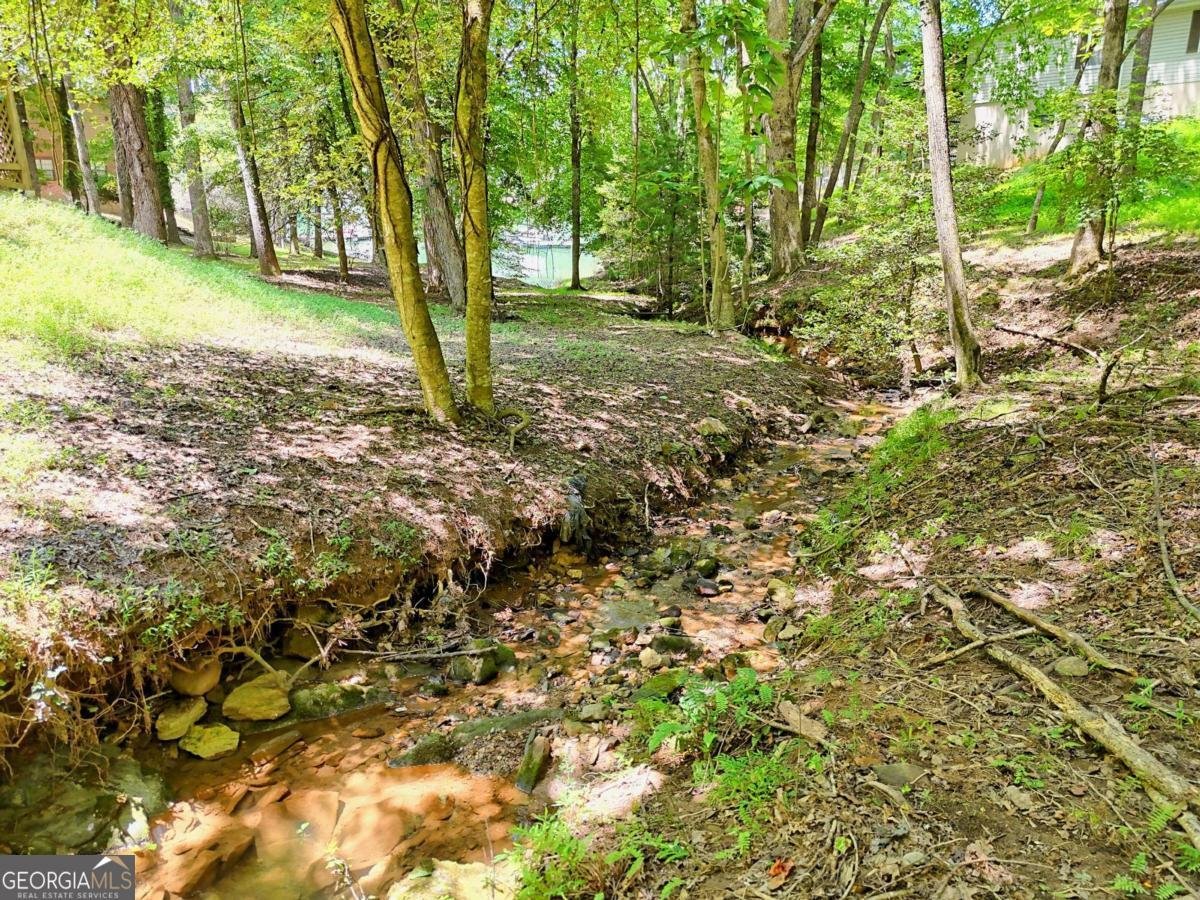 993 Lakeside Drive Blairsville - Photo 48