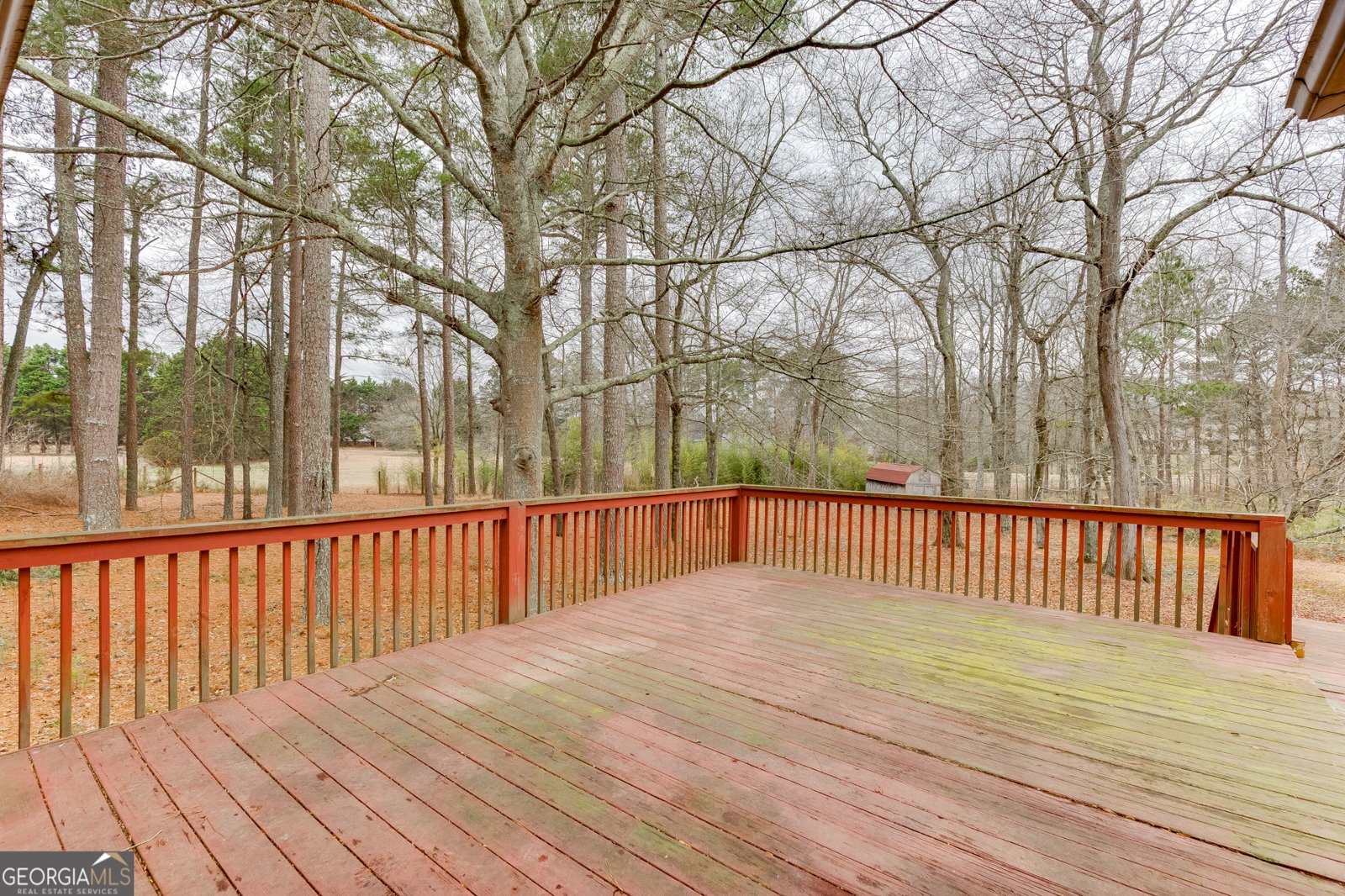 525 Cooper Road Loganville - Photo 18
