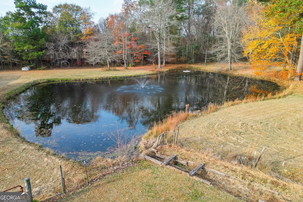 525 Cooper Road Loganville - Photo 45