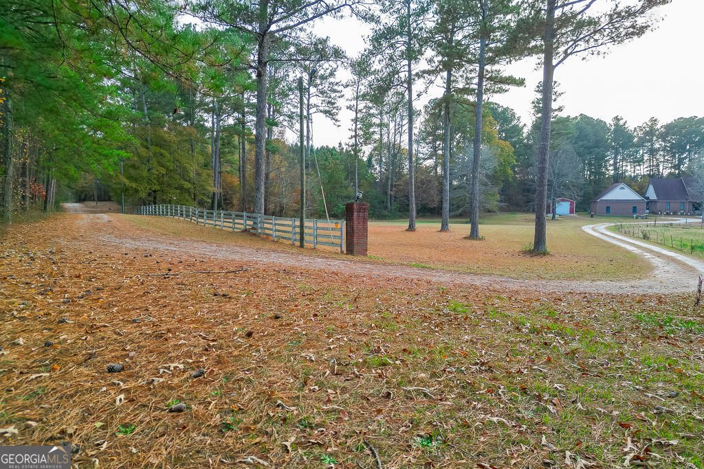 525 Cooper Road Loganville - Photo 48