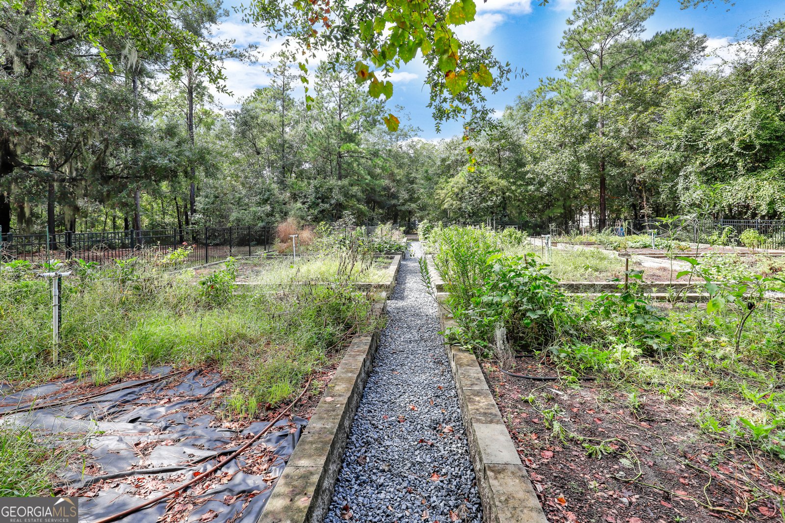 274 Mandeville Drive Richmond Hill - Photo 55