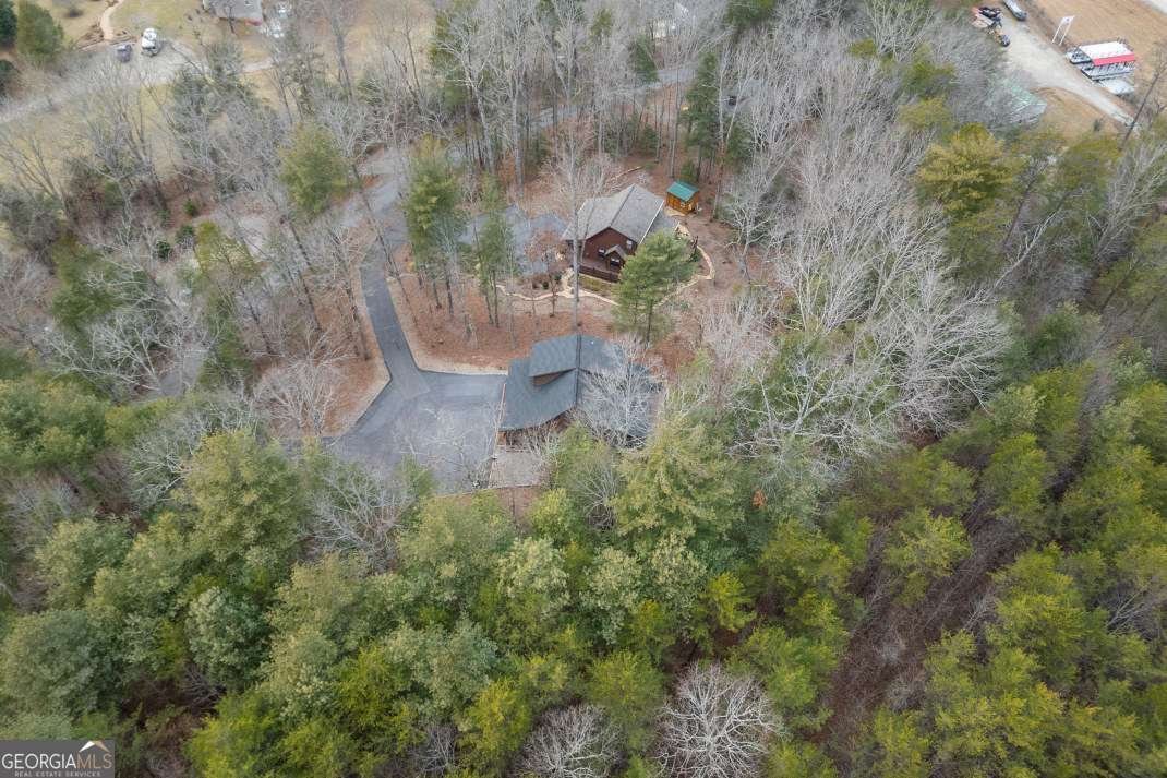 39 Lillian Way Blairsville - Photo 37