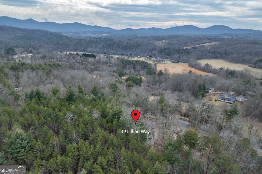 39 Lillian Way Blairsville - Photo 39