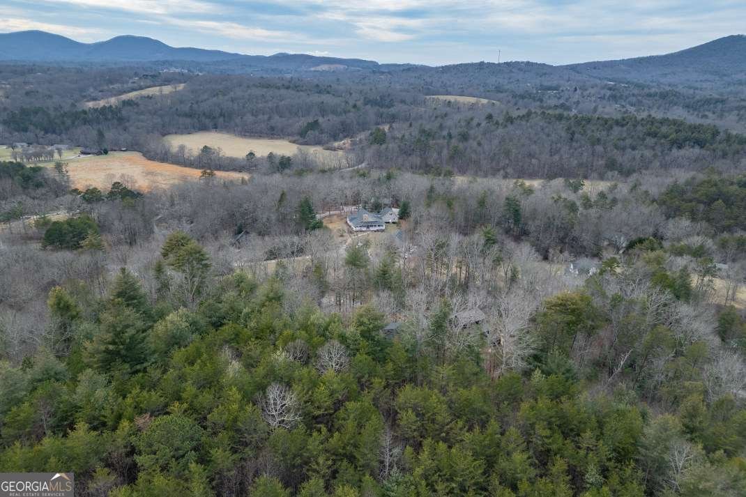 39 Lillian Way Blairsville - Photo 40