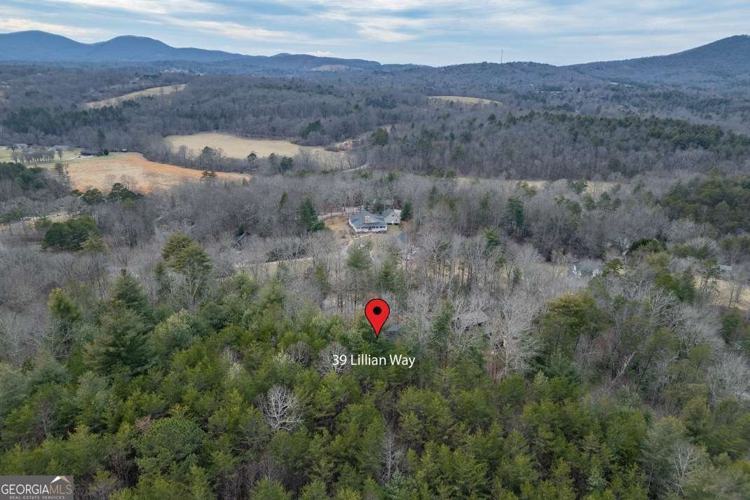 39 Lillian Way Blairsville - Photo 41