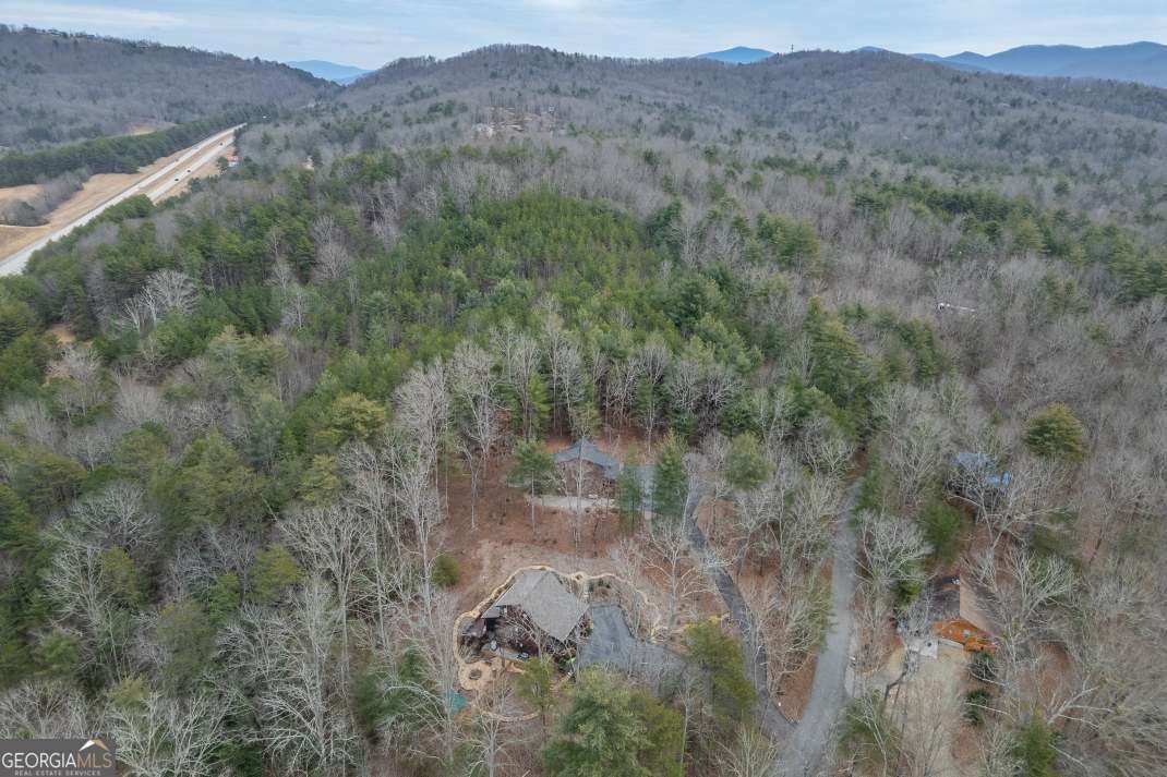 39 Lillian Way Blairsville - Photo 42