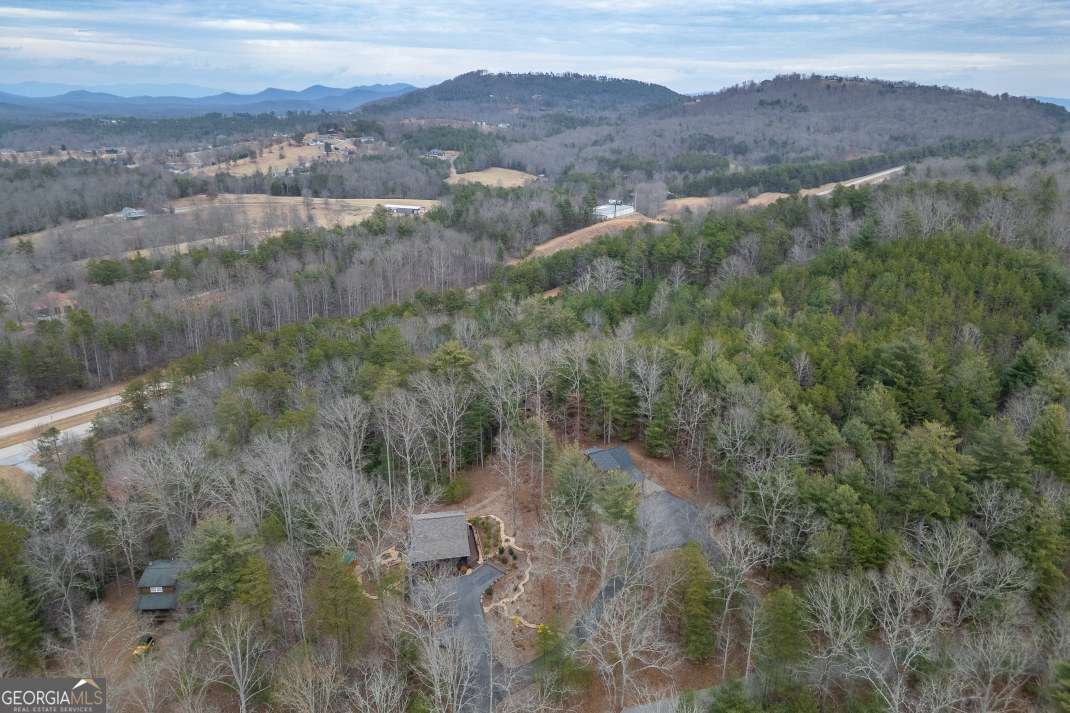 39 Lillian Way Blairsville - Photo 45