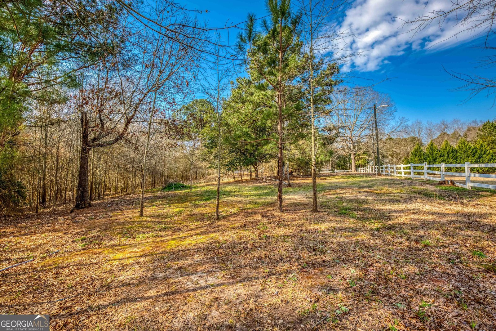 122 Fuswa Road Griffin - Photo 16