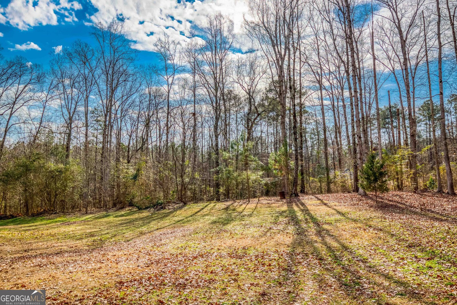 122 Fuswa Road Griffin - Photo 17