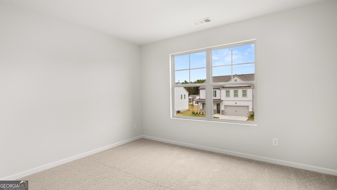 73 Capital Court Braselton - Photo 29