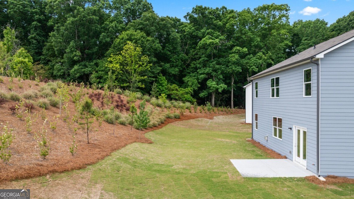 73 Capital Court Braselton - Photo 35