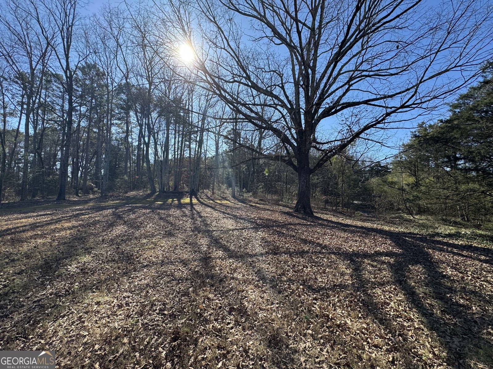 1675 Hi Roc Road Conyers - Photo 9