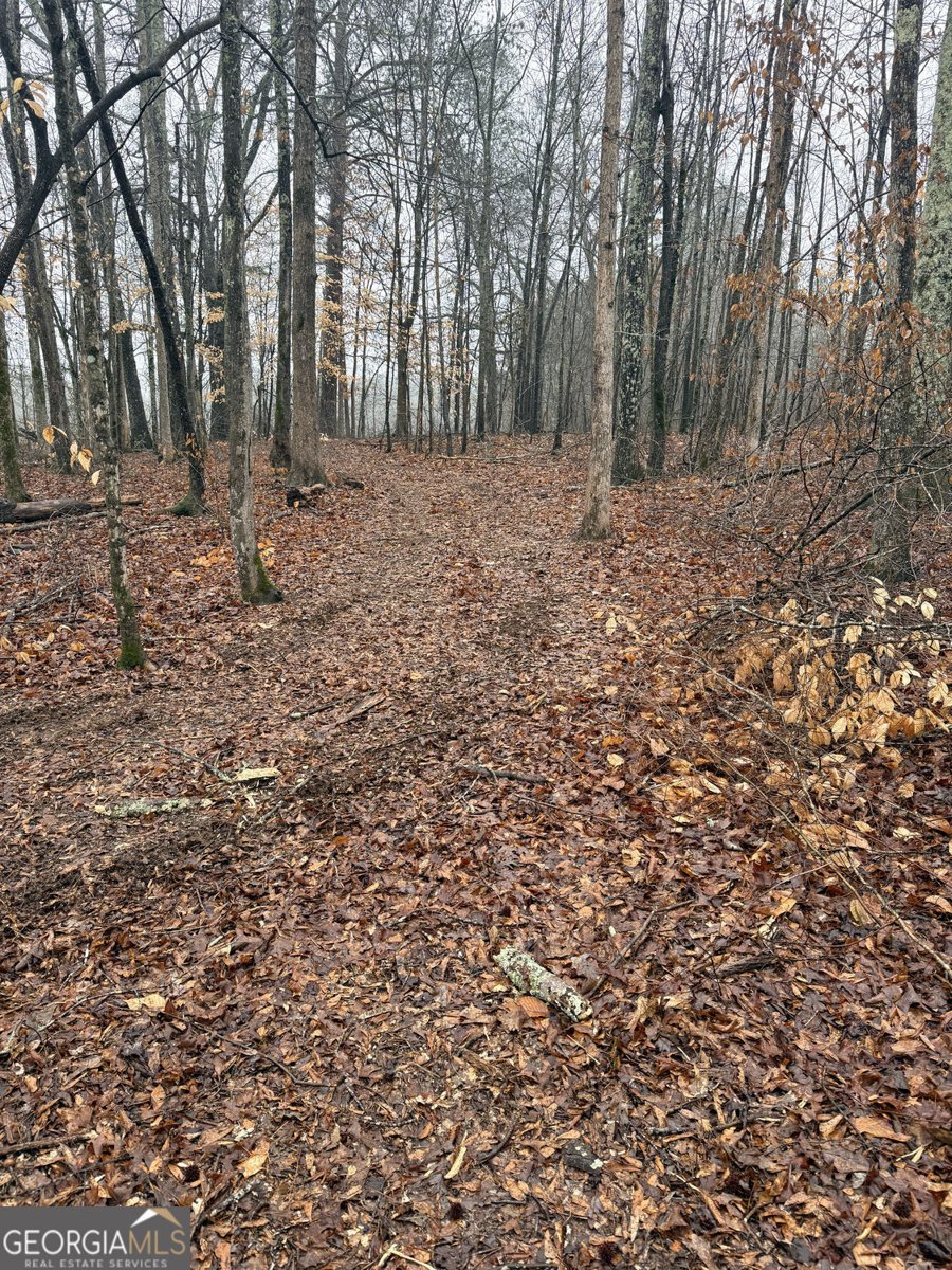 1170 Sleepy Hollow Road Powder Springs - Photo 6