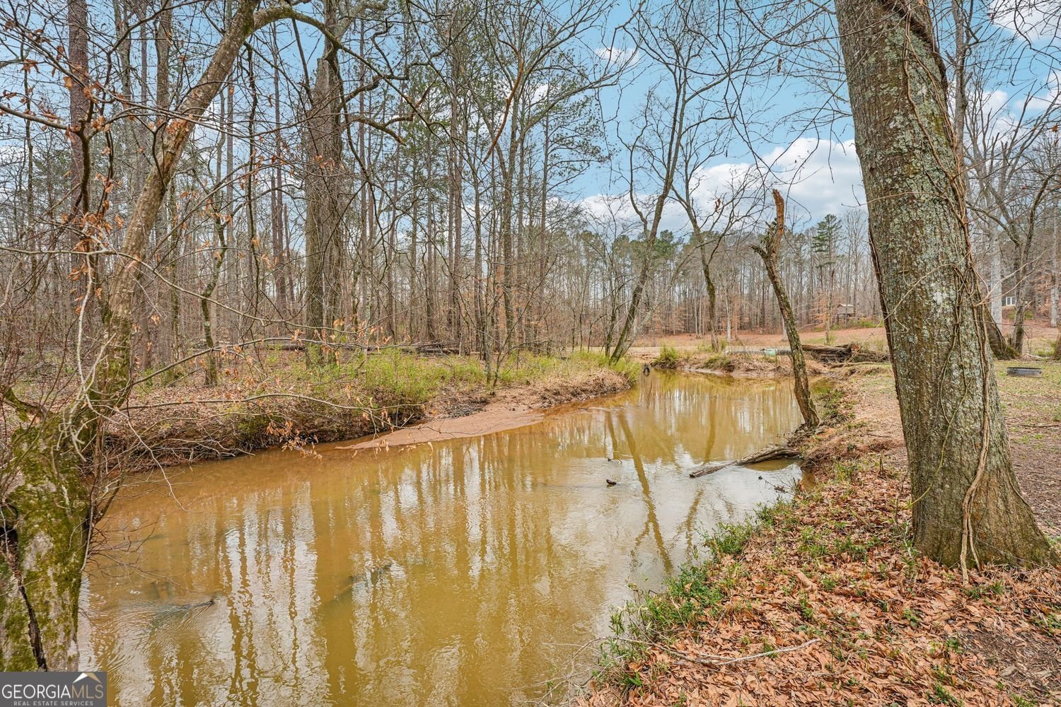 1170 Sleepy Hollow Road Powder Springs - Photo 61