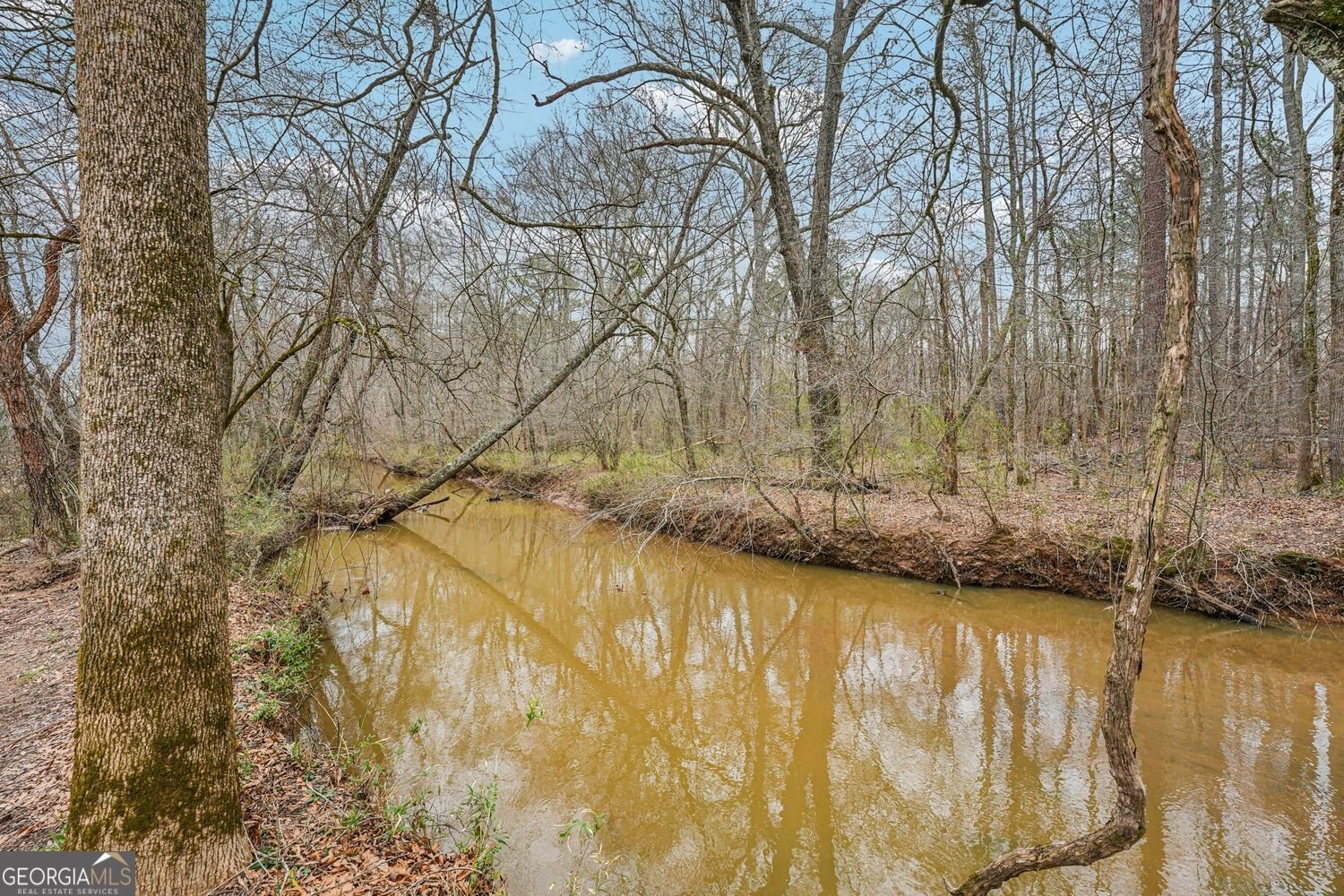 1170 Sleepy Hollow Road Powder Springs - Photo 62