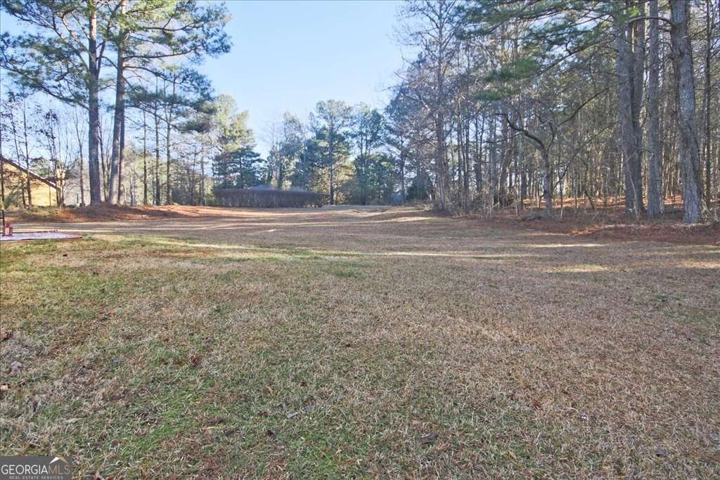 1325 Greenwood Acres Drive Cumming - Photo 39