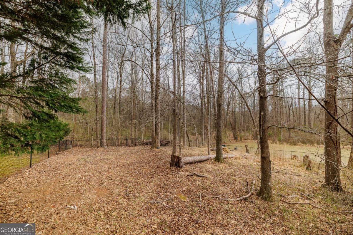 309 Jasmine Trail Athens - Photo 34