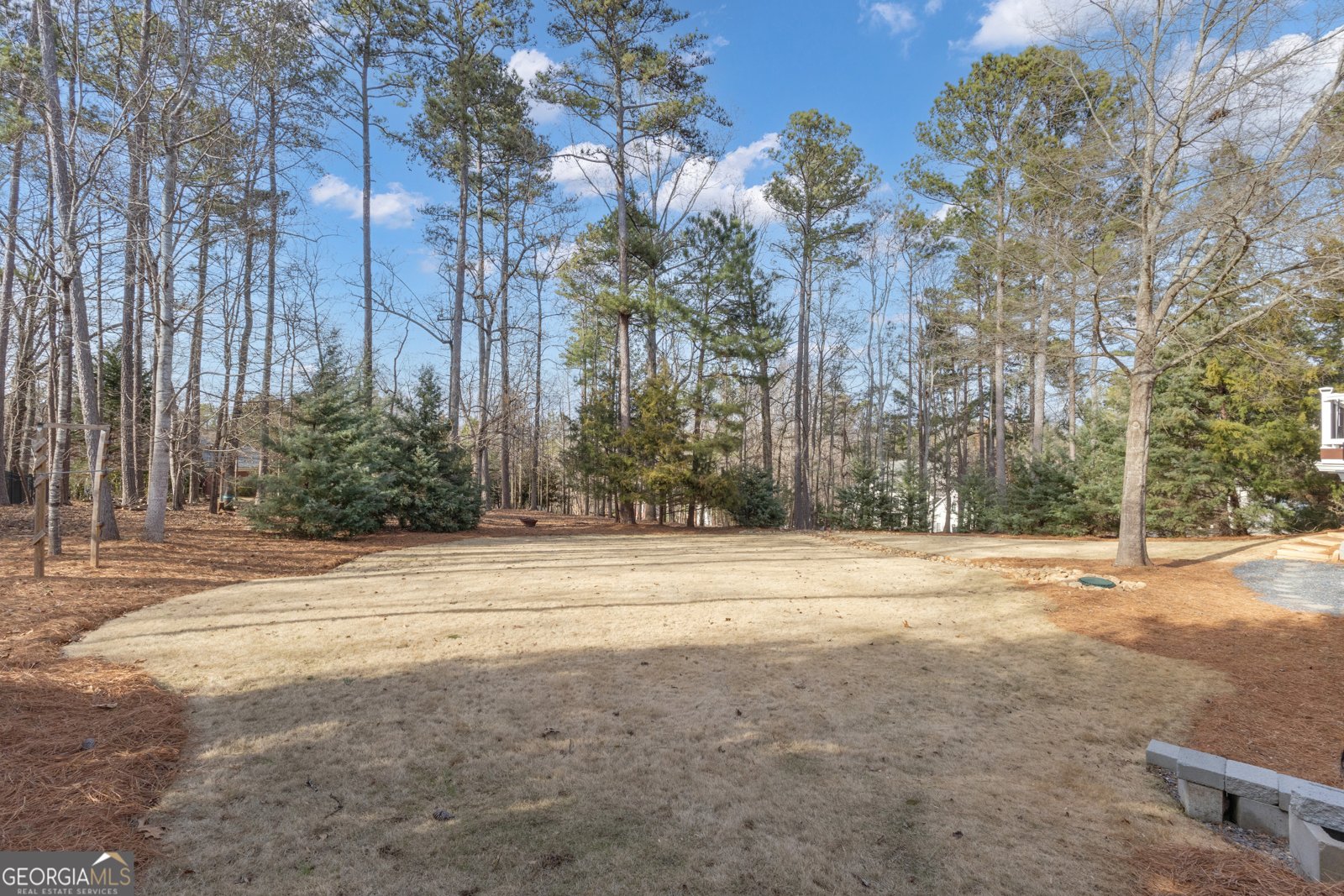 901 Mickleton Lane Peachtree City - Photo 93