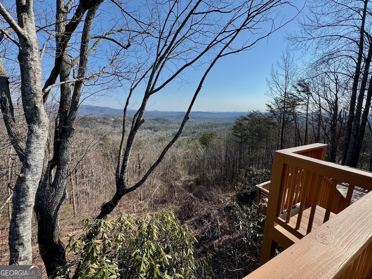 1129 Eagle Ridge Road Dawsonville - Photo 44