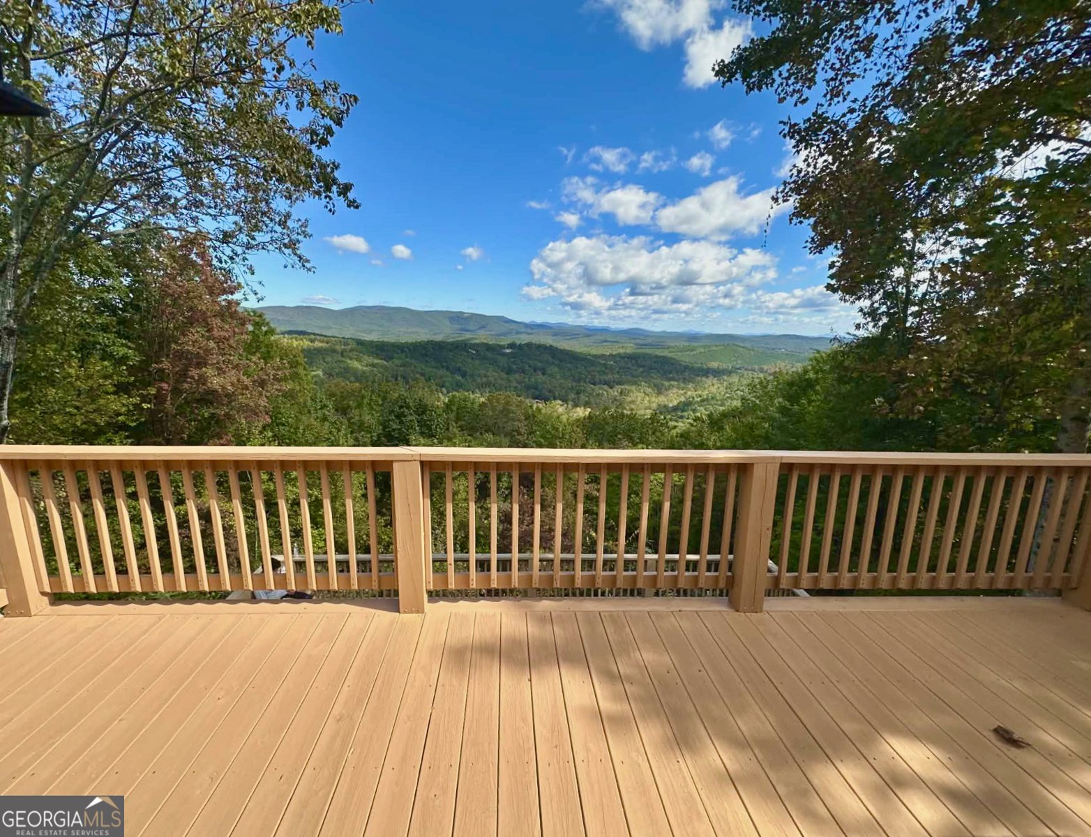 1129 Eagle Ridge Road Dawsonville - Photo 53