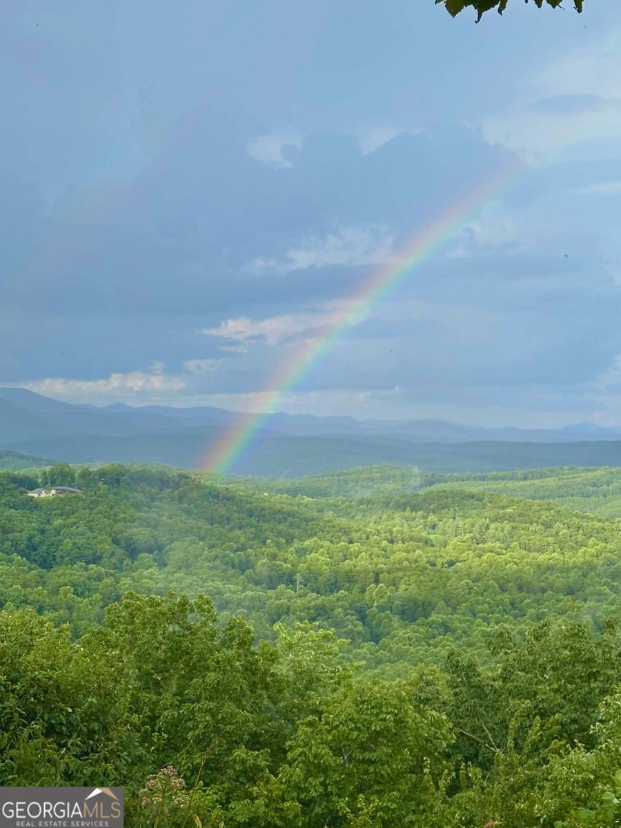 1129 Eagle Ridge Road Dawsonville - Photo 54