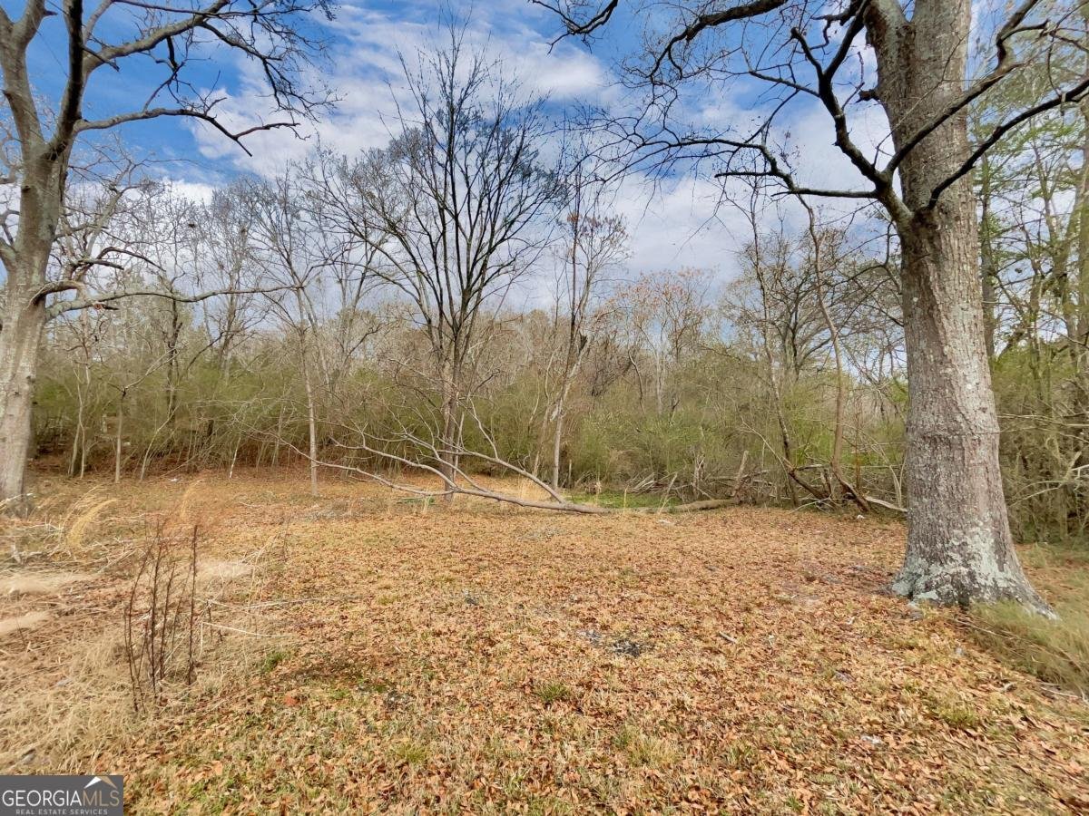 1271 Della Slaton Road Comer - Photo 26