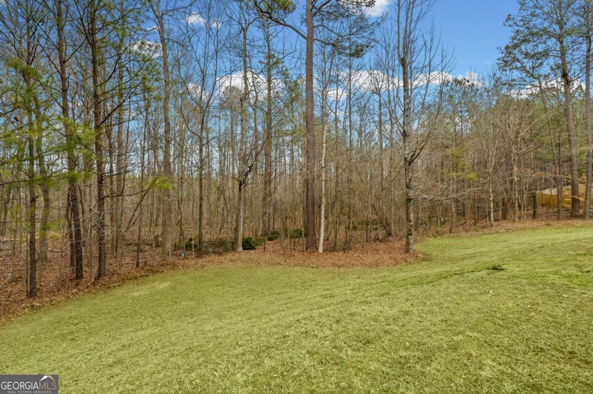 70 Clover Valley Drive Covington - Photo 45