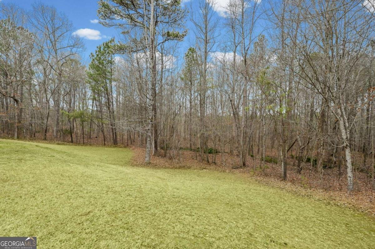 70 Clover Valley Drive Covington - Photo 46