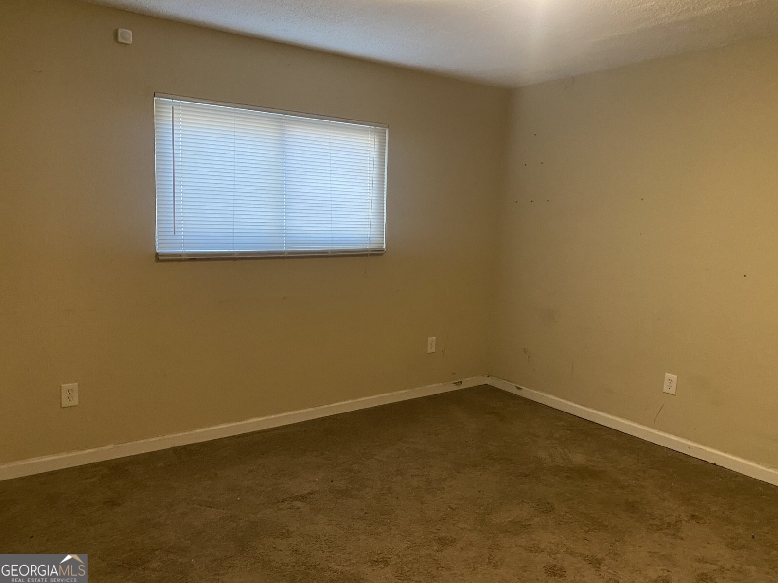 2152 Cedar Creek Lane Lithia Springs - Photo 21