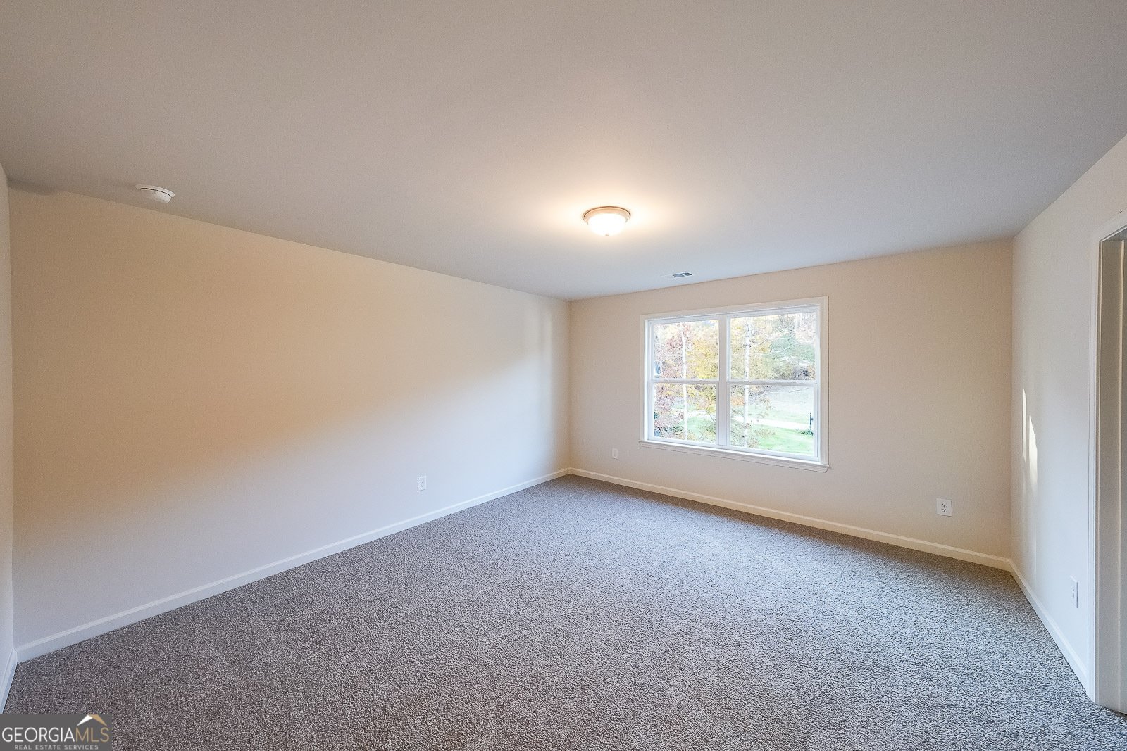 335 Grey Swan Way Dawsonville - Photo 29