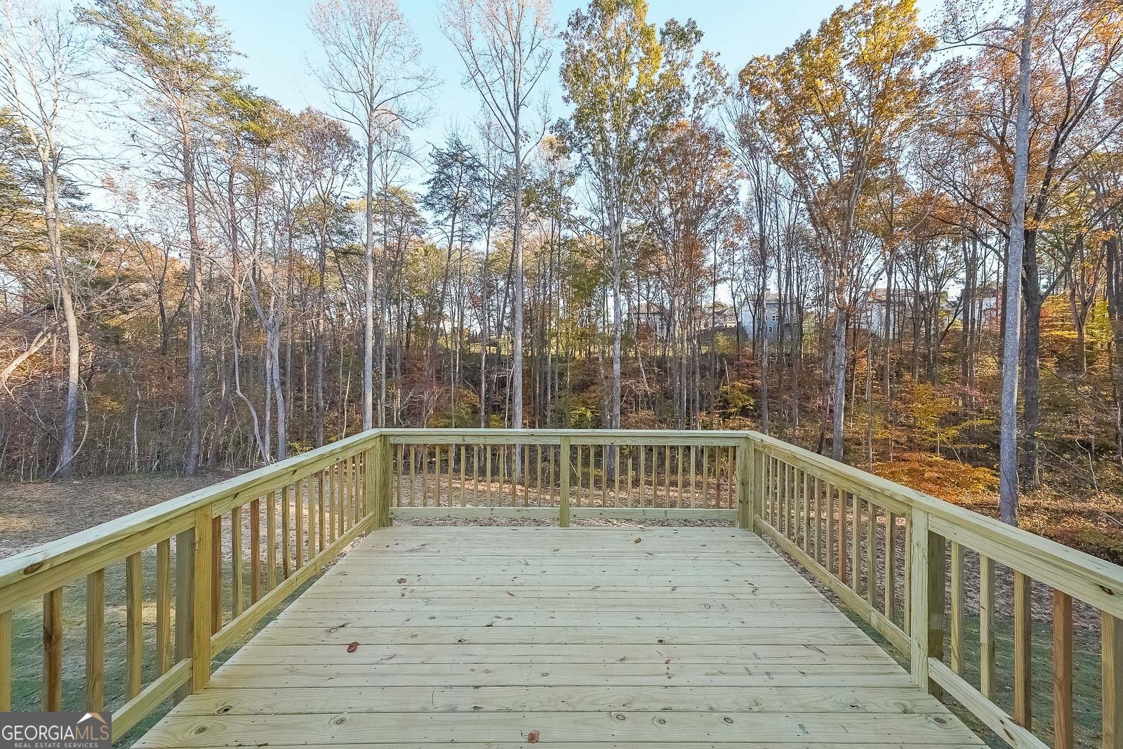 335 Grey Swan Way Dawsonville - Photo 33