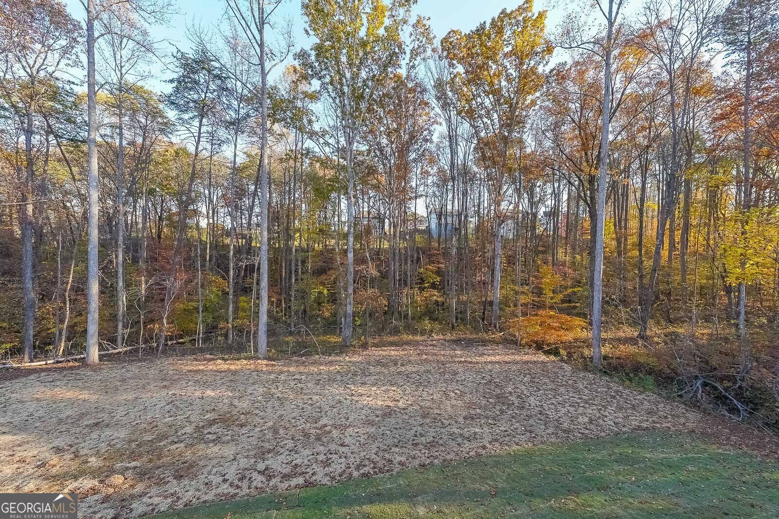 335 Grey Swan Way Dawsonville - Photo 34