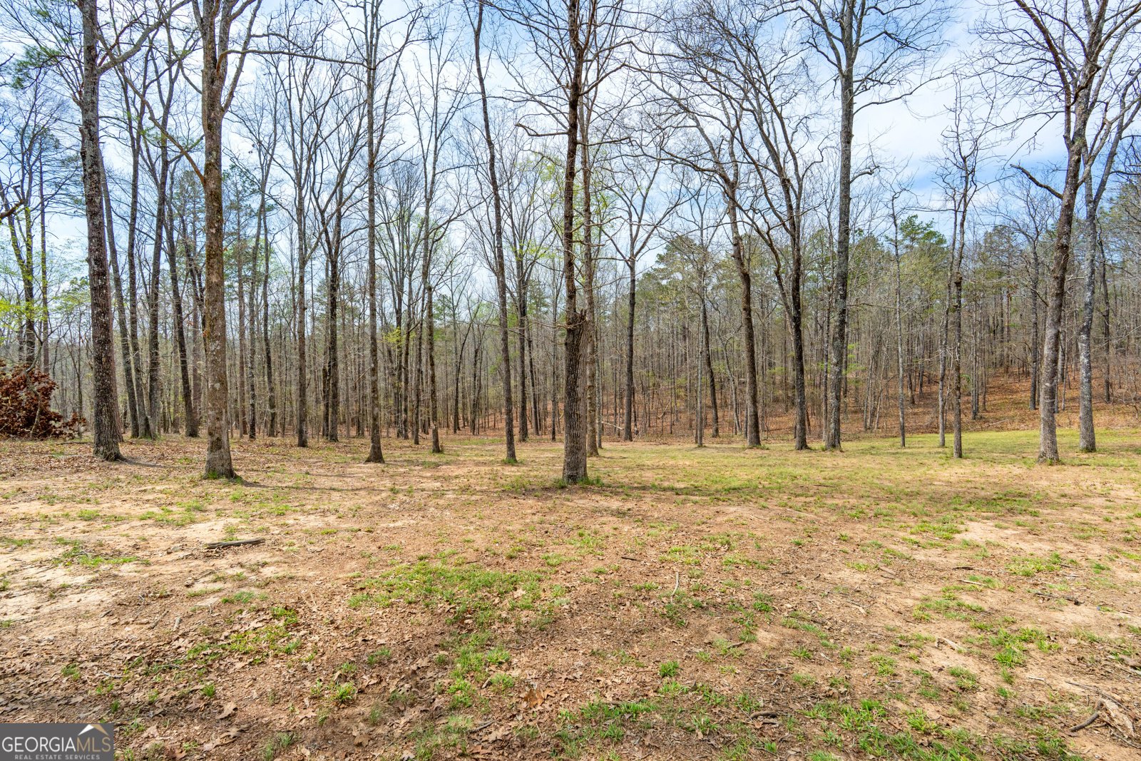 733 Cherry Road Franklin - Photo 51