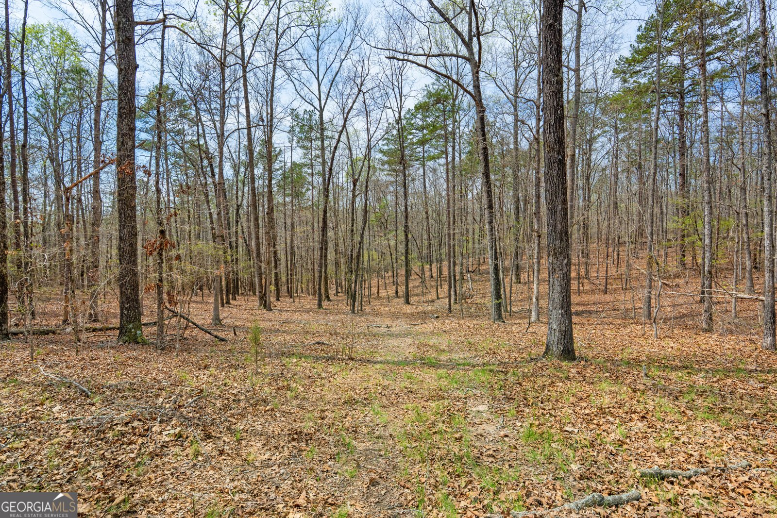 733 Cherry Road Franklin - Photo 53